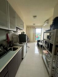 The Vue (D19), Apartment #507334441